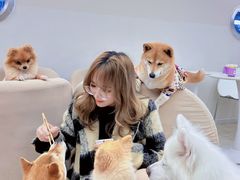 -怪兽屋·羊驼·猫咖·狗咖(俊华广场店)