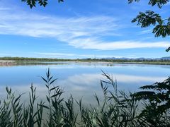 -野鸭湖国家湿地公园