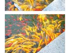 -西安华清御汤酒店