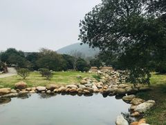 -龙寺生态园
