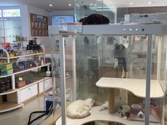 -翊宠yipet猫狗购宠庄园犬舍•猫舍