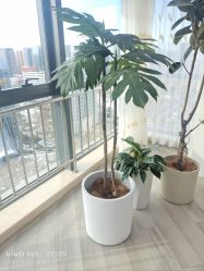 -HEYAN荷妍专业脱毛连锁机构