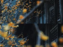 -颐和园