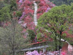 -岳西天峡风景区