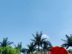 -上海玛雅海滩水公园