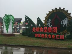 -上海都市菜园