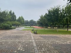 -永定河休闲森林公园