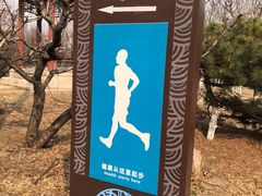 -北京凤凰岭