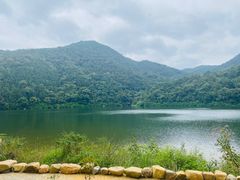 -广州市石门国家森林公园