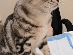 -萌兽医馆·犬猫专科·眼科中心·宠物医院(朝阳门分院)