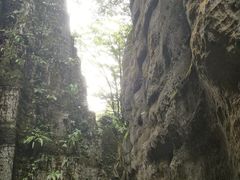-山王坪喀斯特国家生态公园