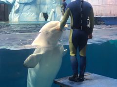 -福州罗源湾海洋世界旅游区