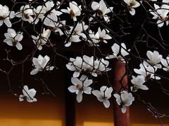 -龙华寺