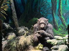 -国家自然博物馆