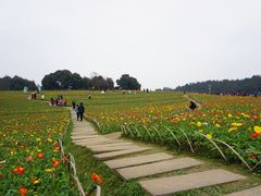 -保利石象湖景区