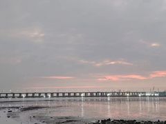 -深圳湾公园(南山区)