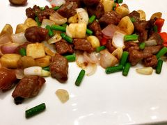 -金蝉食府(维吉奥广场店)