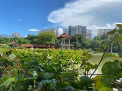 -深圳龙潭公园