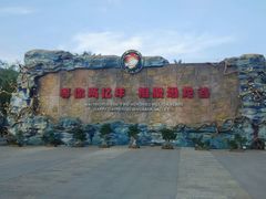 -世界恐龙谷景区