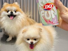 -DQ·蛋糕·冰淇淋(五角场万达店)