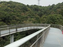 -仙岳公园