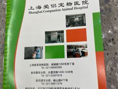 -爱侣宠医·鹦鹉专科·小型哺乳类·异宠专科(灵石路店)