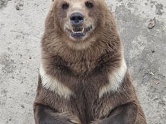 -哈尔滨北方森林动物园