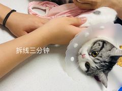 -达爱动物医院·犬猫分区·CT·复杂眼科(远洋山水分院)