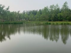 -东郊湿地公园