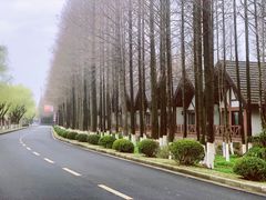 -太阳岛旅游度假区