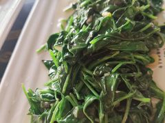 -尕西新疆大盘鸡(回辉村分店)