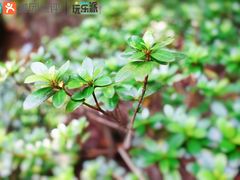 -溪口-滕头旅游景区