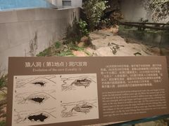 -北京周口店北京人遗址博物馆