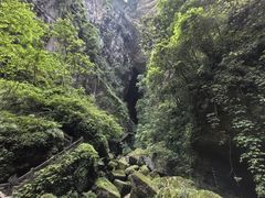 -龙水峡地缝景区
