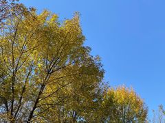 -永定河休闲森林公园