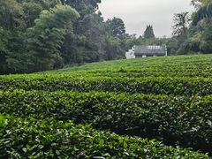 -敬亭山风景名胜区