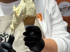 -野人先生Gelato(上海长宁龙之梦店)
