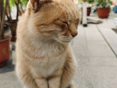 -开元寺