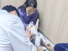 -恒幸动物医院·急重症转诊中心·神经内外科·CT核磁