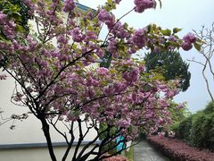 -上海市保健医疗中心