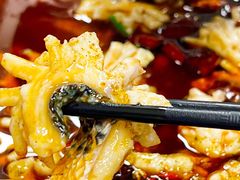-重庆何乌鱼(南湖逸家店)
