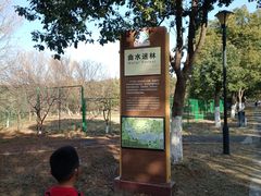 -南湖湿地公园