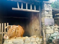 -红嫂家乡旅游区