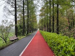 -上海长兴岛郊野公园