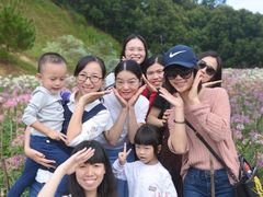 -广州市流溪河国家森林公园