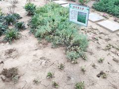-江天生态园餐厅