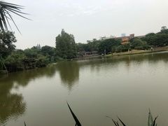 -四海公园(南山区)