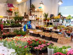 -双季花艺园艺市场(浦东店)