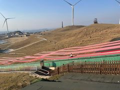 -龙里油画大草原旅游区