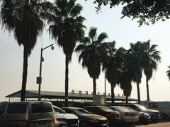 -大湾区中央湿地公园-十九涌